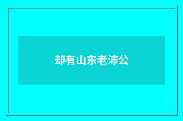 却有山东老沛公