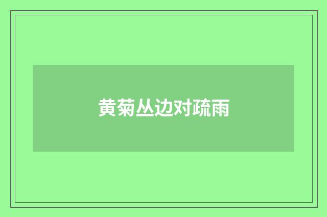 黄菊丛边对疏雨