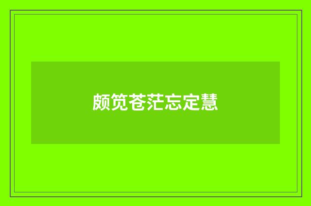 颇笕苍茫忘定慧