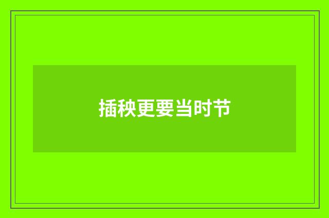 插秧更要当时节