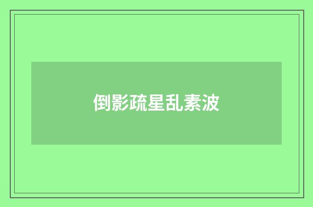 倒影疏星乱素波