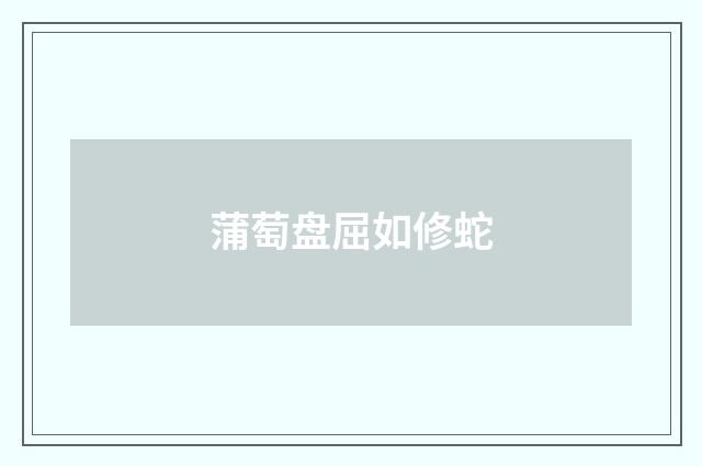 蒲萄盘屈如修蛇
