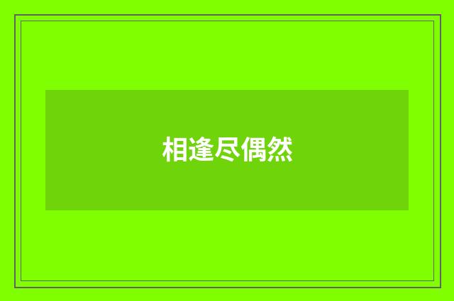 相逢尽偶然