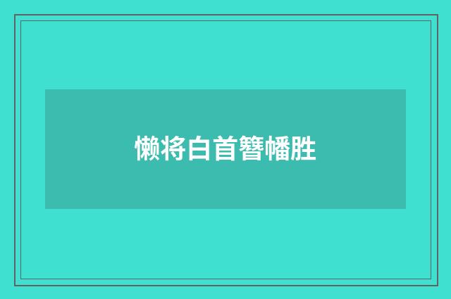 懒将白首簪幡胜