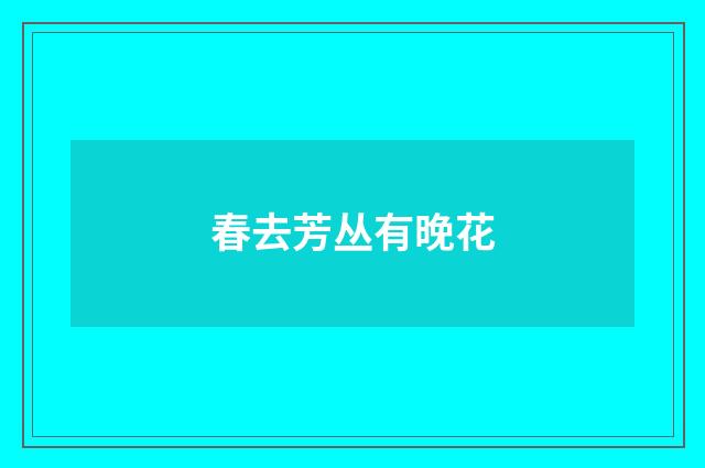 春去芳丛有晚花