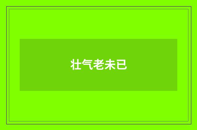 壮气老未已