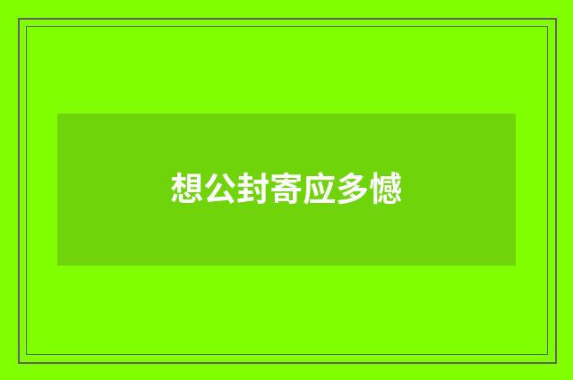 想公封寄应多憾