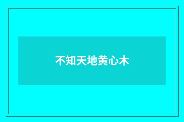 不知天地黄心木