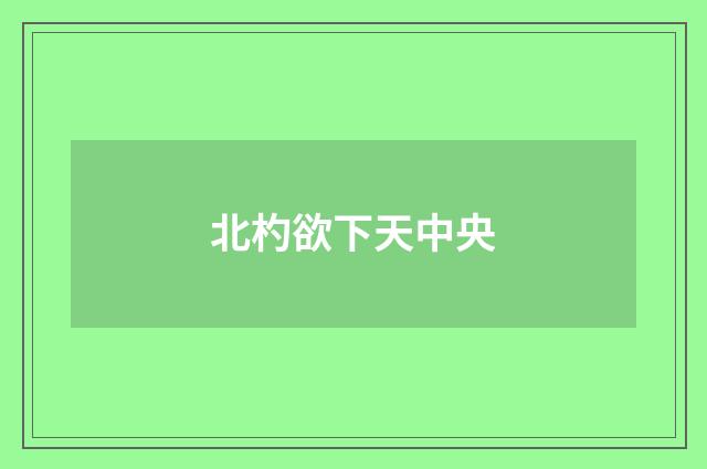 北杓欲下天中央