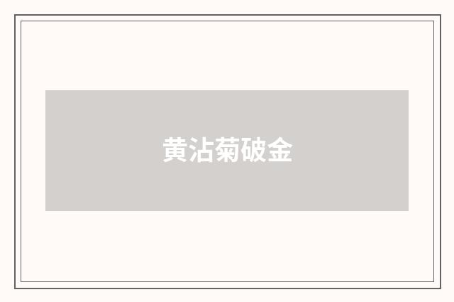 黄沾菊破金