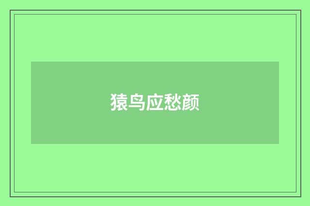 猿鸟应愁颜