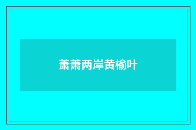 萧萧两岸黄榆叶