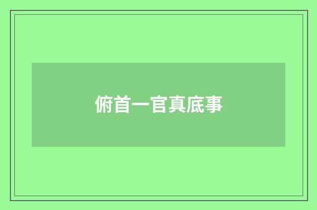 俯首一官真底事