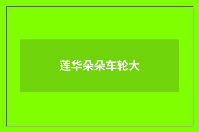 莲华朵朵车轮大