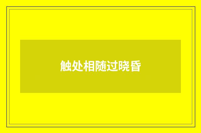 触处相随过晓昏