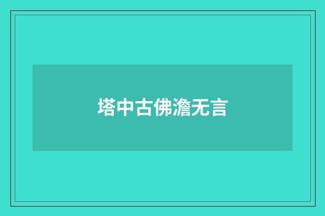 塔中古佛澹无言