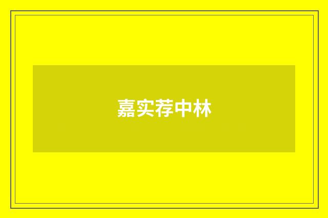 嘉实荐中林