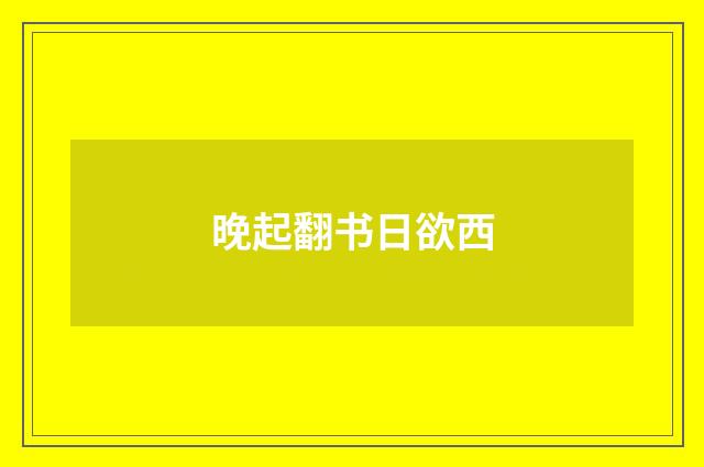 晚起翻书日欲西