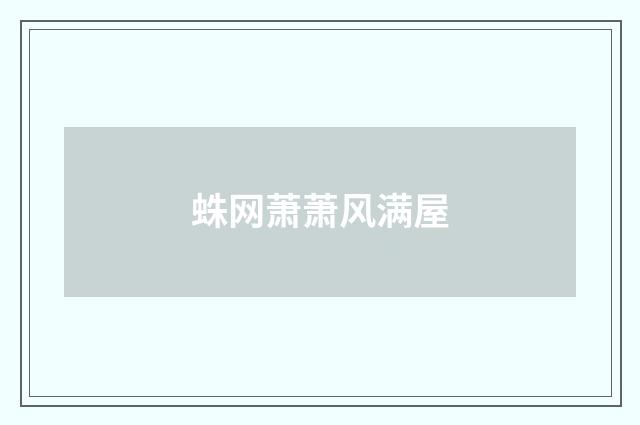蛛网萧萧风满屋