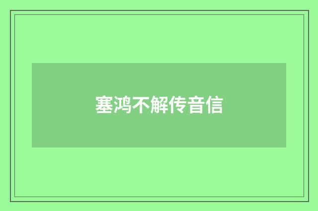 塞鸿不解传音信