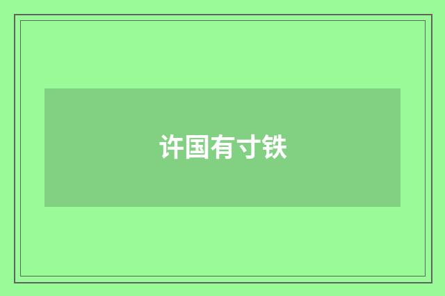许国有寸铁