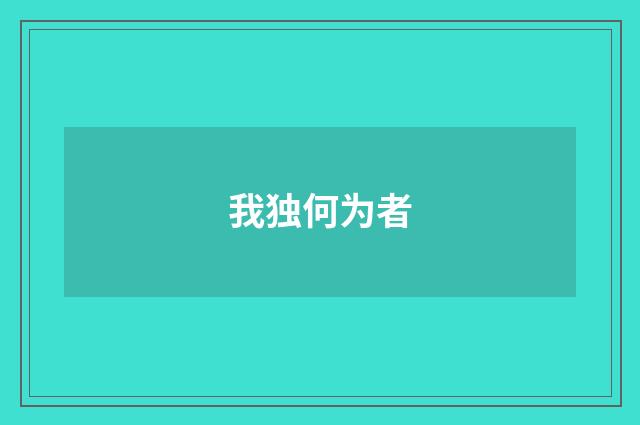 我独何为者