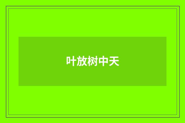 叶放树中天