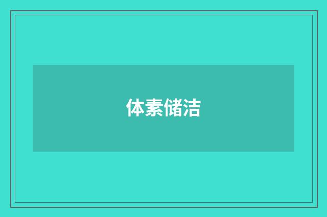 体素储洁