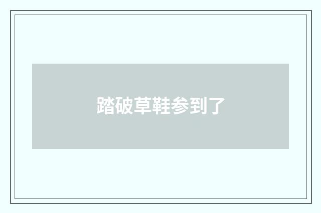 踏破草鞋参到了