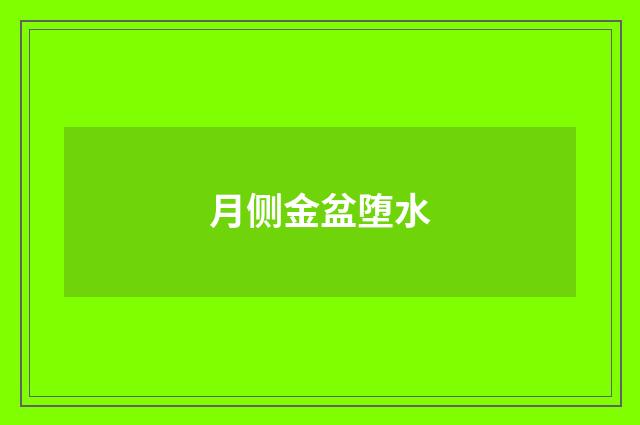 月侧金盆堕水