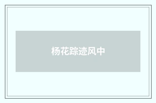 杨花踪迹风中