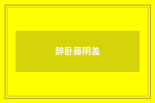 醉卧藤阴盖