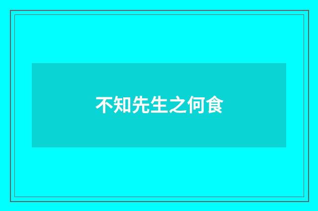 不知先生之何食