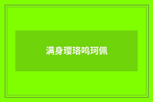 满身璎珞鸣珂佩