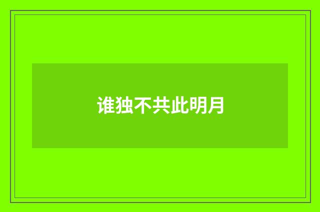 谁独不共此明月