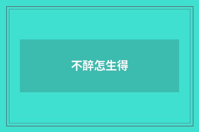 不醉怎生得