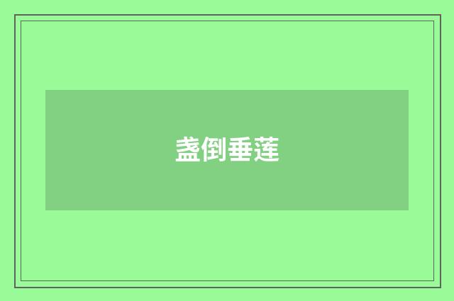 盏倒垂莲