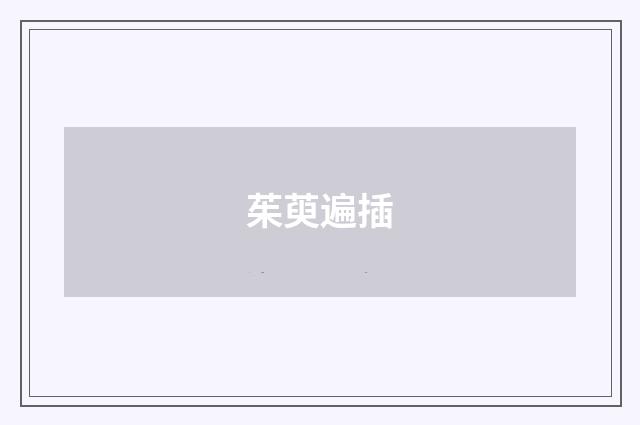 茱萸遍插