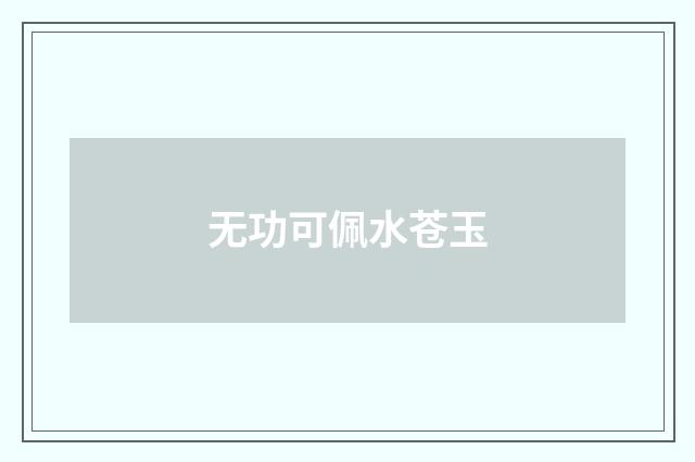 无功可佩水苍玉
