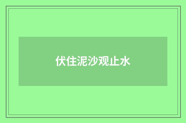 伏住泥沙观止水
