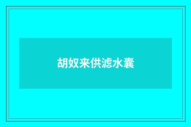 胡奴来供滤水囊