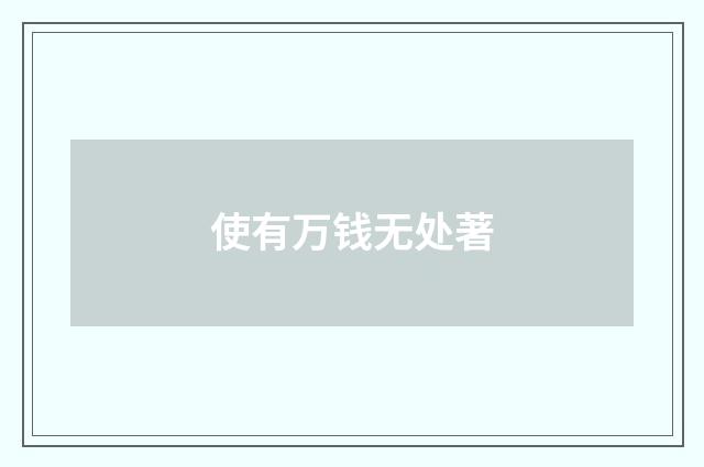 使有万钱无处著