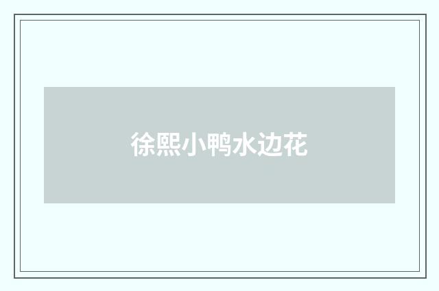 徐熙小鸭水边花