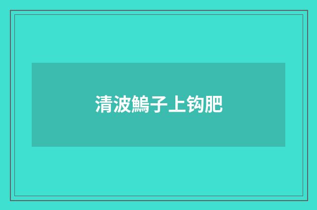 清波鰞子上钩肥