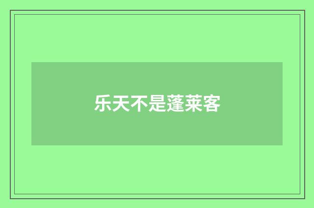 乐天不是蓬莱客