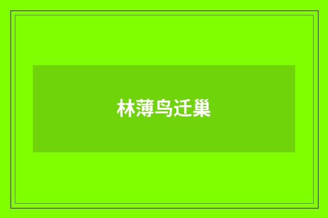 林薄鸟迁巢