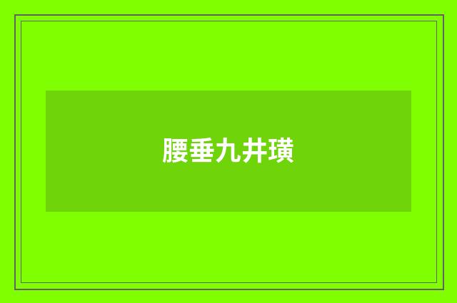 腰垂九井璜