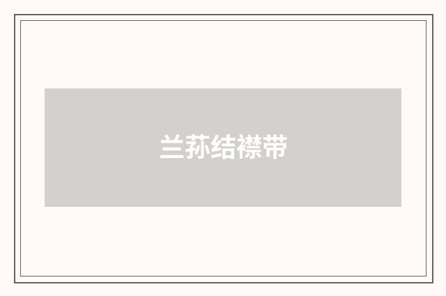 兰荪结襟带