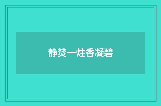 静焚一炷香凝碧