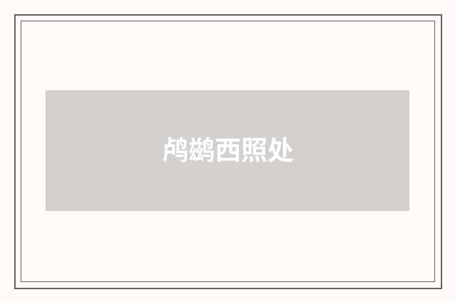 鸬鹚西照处